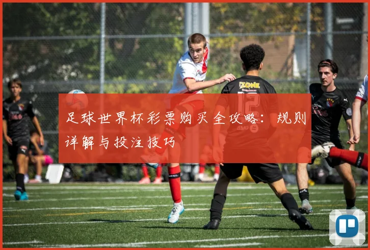 足球世界杯彩票购买全攻略：规则详解与投注技巧