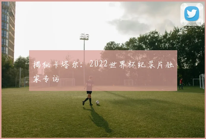 揭秘卡塔尔：2022世界杯纪录片独家专访