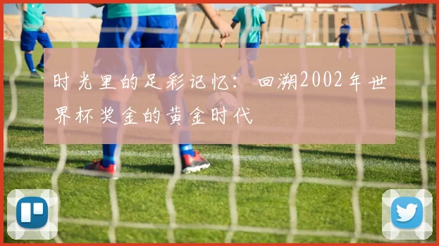 时光里的足彩记忆：回溯2002年世界杯奖金的黄金时代