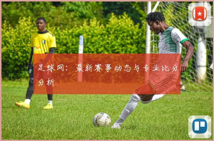 足球网：最新赛事动态与专业比分分析