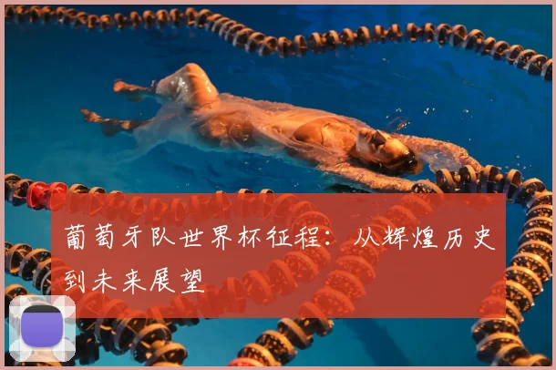 葡萄牙队世界杯征程：从辉煌历史到未来展望