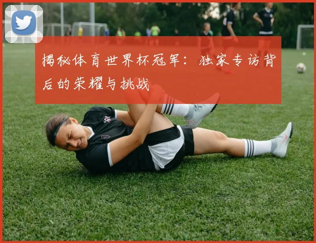 揭秘体育世界杯冠军：独家专访背后的荣耀与挑战