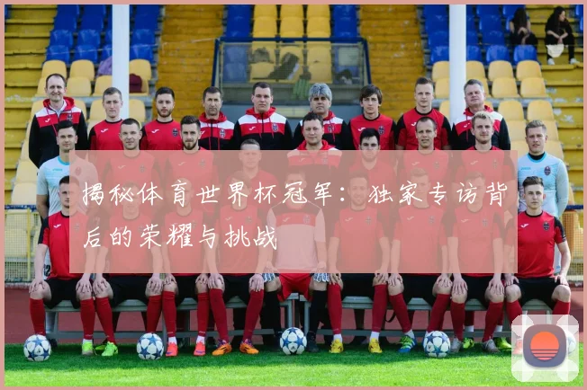 揭秘体育世界杯冠军：独家专访背后的荣耀与挑战