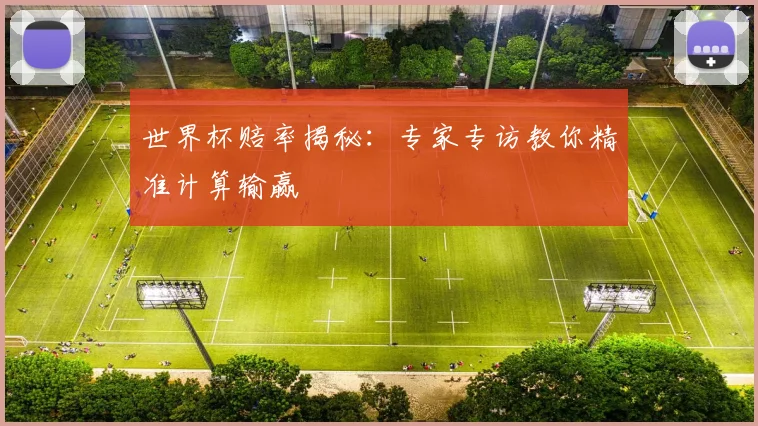 世界杯赔率揭秘：专家专访教你精准计算输赢
