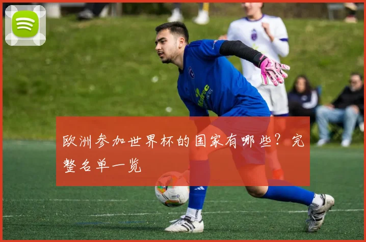 欧洲参加世界杯的国家有哪些？完整名单一览