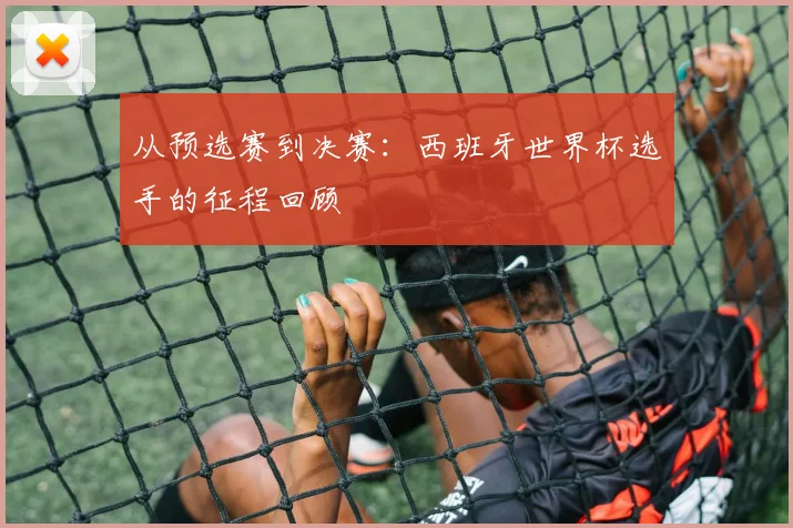 从预选赛到决赛：西班牙世界杯选手的征程回顾